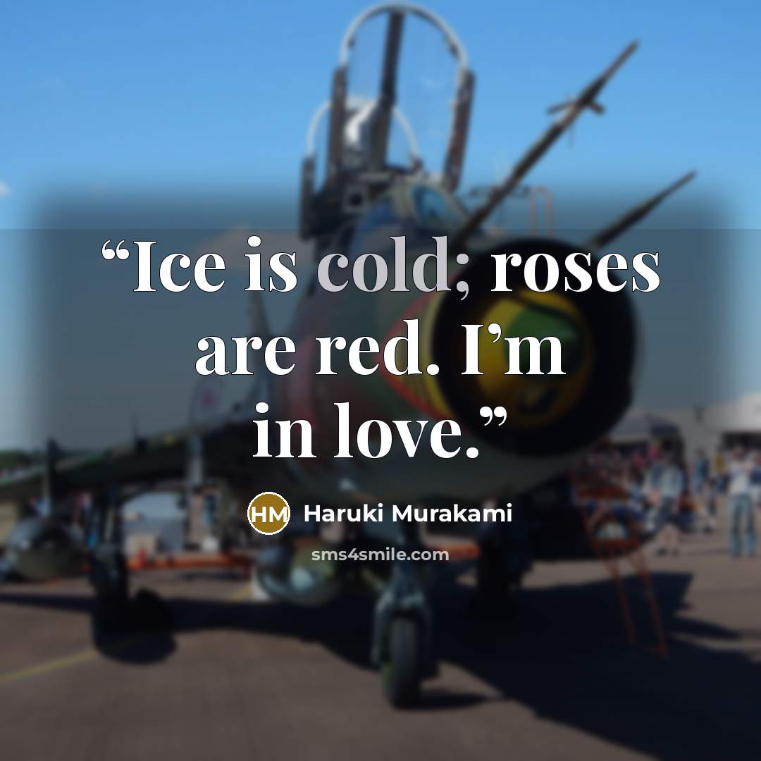 “Ice is cold; roses are red. I’m in love.” quote by Haruki Murakami