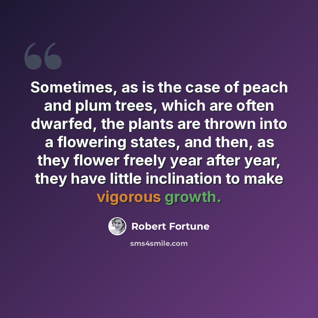 “Sometimes, as is the case of peach and plum trees, which are often dwarfed, the plants are thrown into a flowering states, and then, as they flower freely year after year, they have little inclination to make vigorous growth.” quote by Robert Fortune