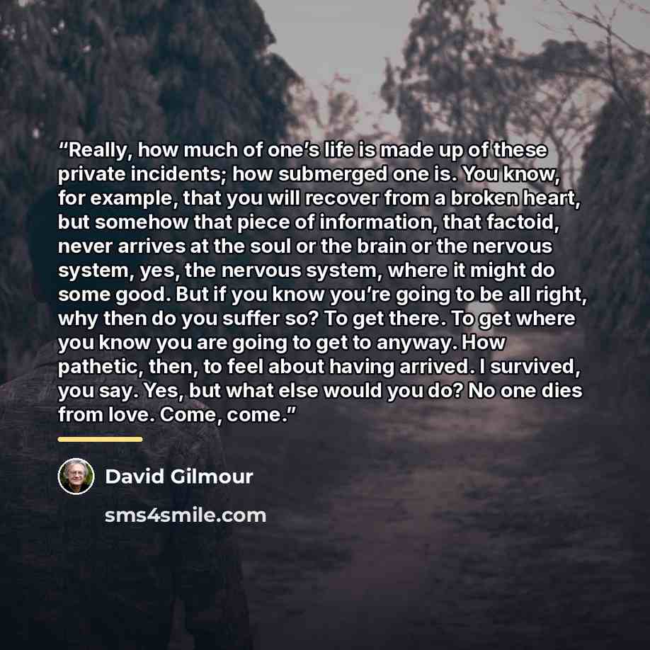 “Really, how much of one’s life is made up of these private incidents; how submerged one is. You know, for example, that you will recover from a broken heart, but somehow that piece of information, that factoid, never arrives at the soul or the brain or the nervous system, yes, the nervous system…” quote by David Gilmour