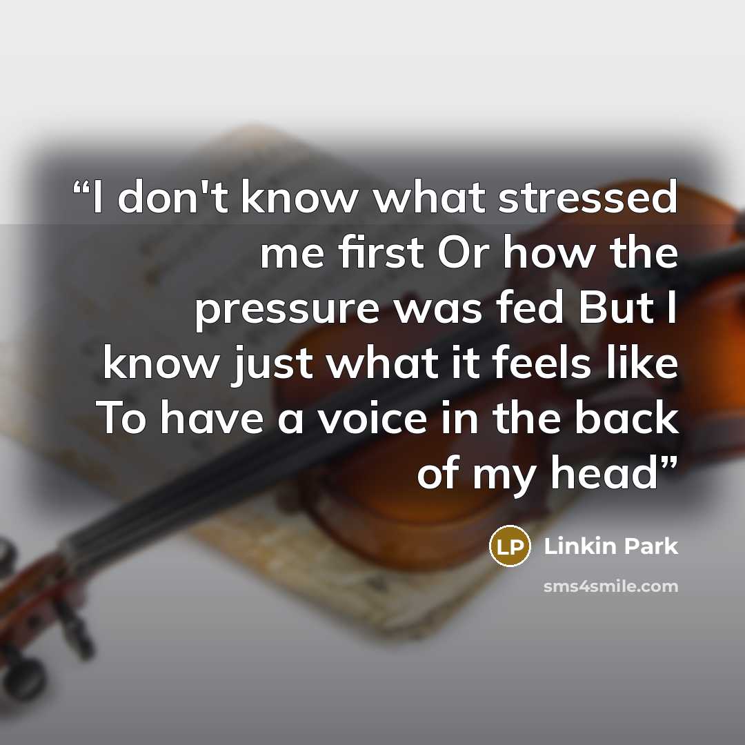 “I don't know what stressed me first Or how the pressure was fed But I know just what it feels like To have a voice in the back of my head” quote by Linkin Park