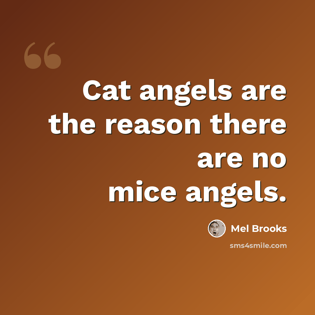 “Cat angels are the reason there are no mice angels.” quote by Mel Brooks