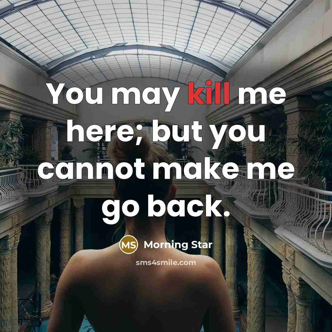“You may kill me here; but you cannot make me go back.” quote by Morning Star
