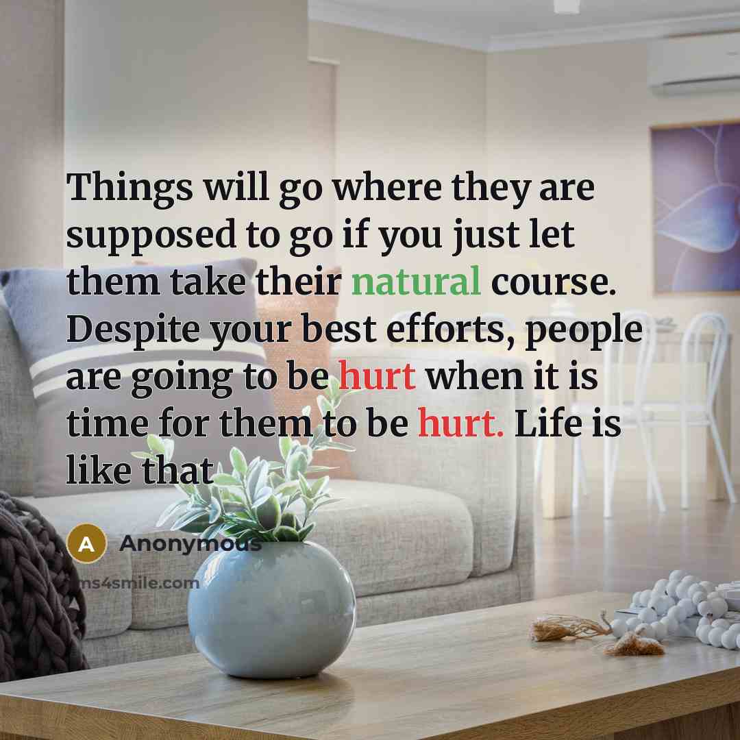 “Things will go where they are supposed to go if you just let them take their natural course. Despite your best efforts, people are going to be hurt when it is time for them to be hurt. Life is like that” quote by Anonymous