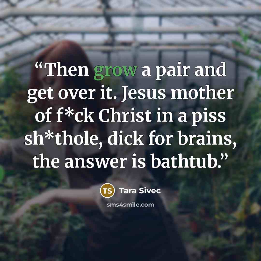 “Then grow a pair and get over it. Jesus mother of f*ck Christ in a piss sh*thole, dick for brains, the answer is bathtub.” quote by Tara Sivec