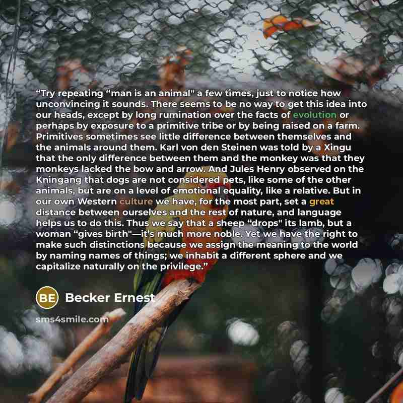 “Try repeating “man is an animal" a few times, just to notice how unconvincing it sounds. There seems to be no way to get this idea into our heads, except by long rumination over the facts of evolution or perhaps by exposure to a primitive tribe or by being raised on a farm. Primitives sometimes…” quote by Becker Ernest