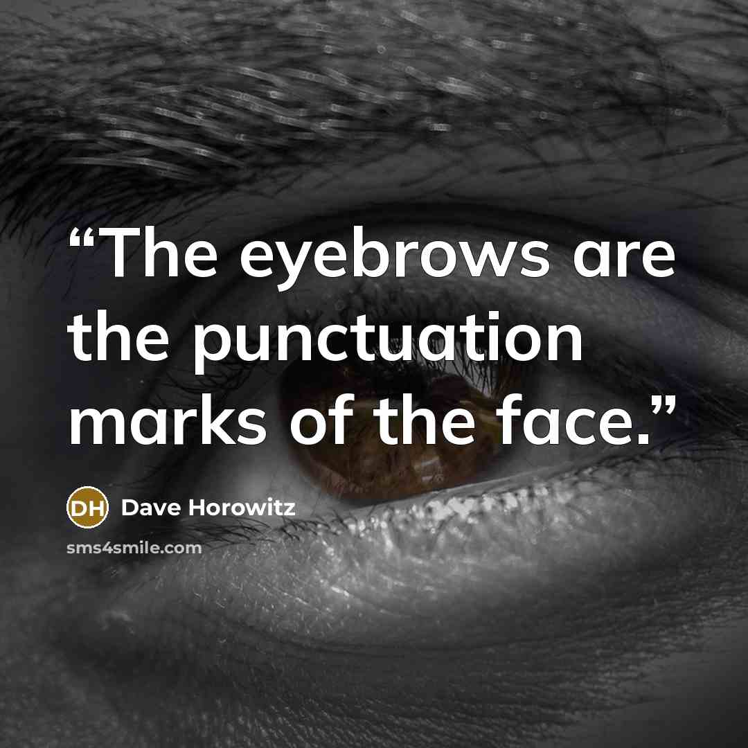 “The eyebrows are the punctuation marks of the face.” quote by Dave Horowitz