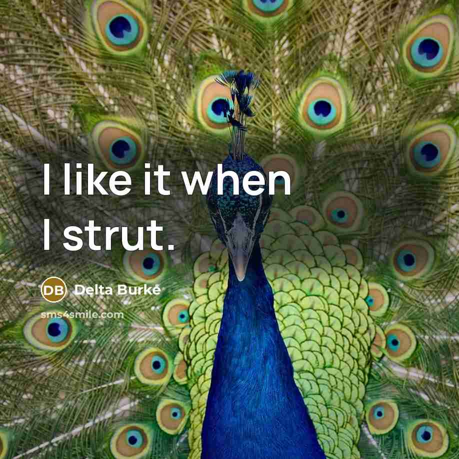 “I like it when I strut.” quote by Delta Burke