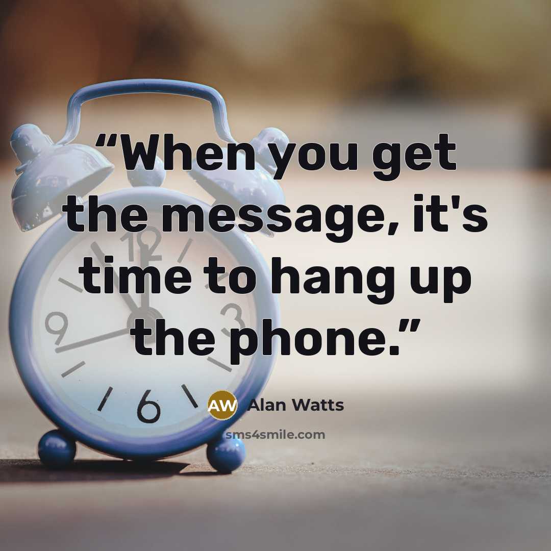 “When you get the message, it's time to hang up the phone.” quote by Alan Watts