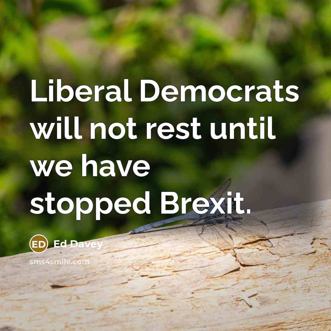 “Liberal Democrats will not rest until we have stopped Brexit.” quote by Ed Davey