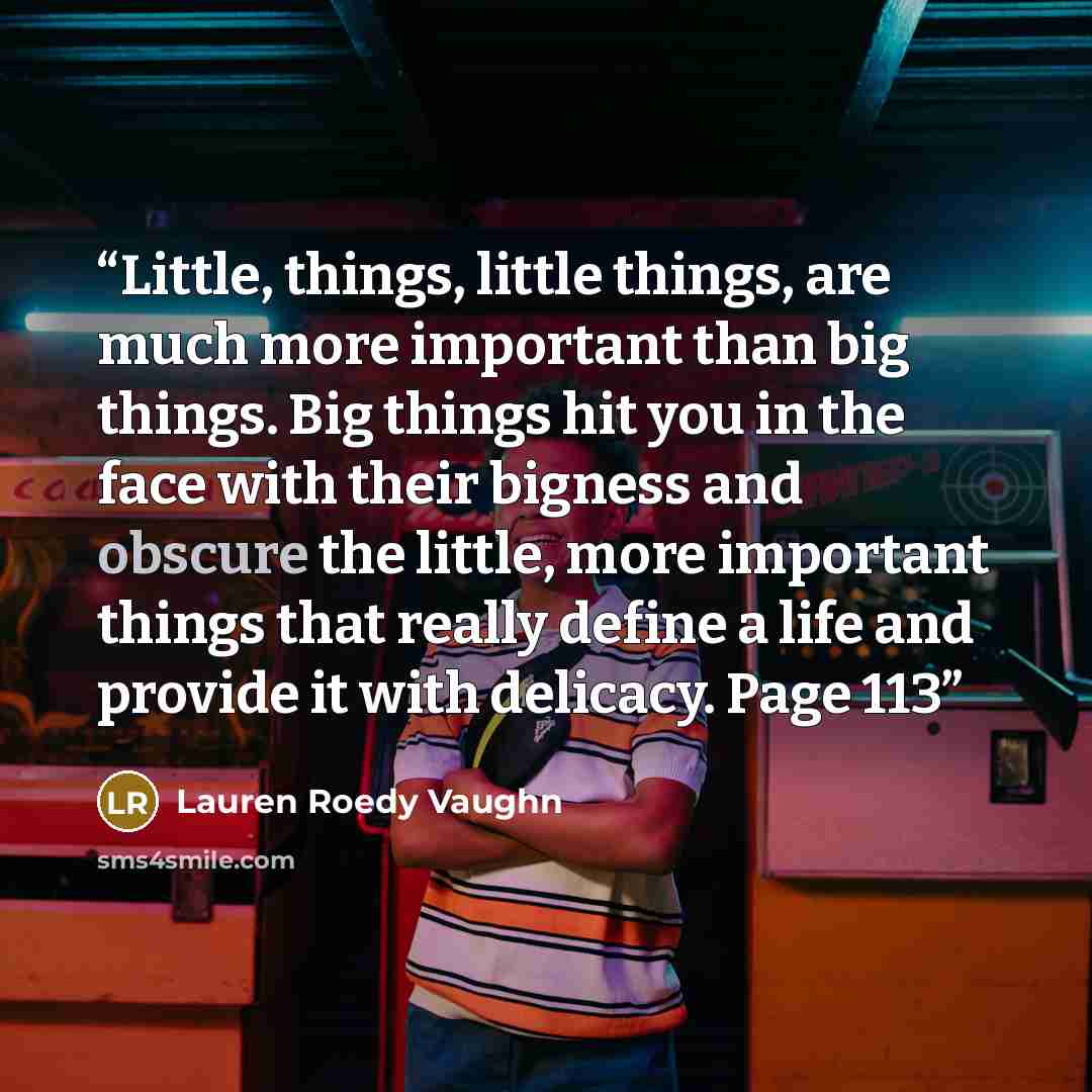 “Little, things, little things, are much more important than big things. Big things hit you in the face with their bigness and obscure the little, more important things that really define a life and provide it with delicacy. Page 113” quote by Lauren Roedy Vaughn