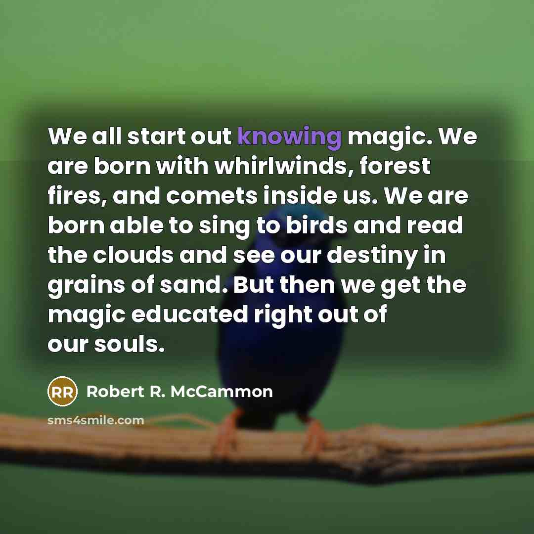 “We all start out knowing magic. We are born with whirlwinds, forest fires, and comets inside us. We are born able to sing to birds and read the clouds and see our destiny in grains of sand. But then we get the magic educated right out of our souls.” quote by Robert R. McCammon