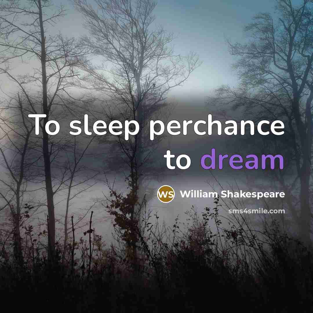 “To sleep perchance to dream” quote by William Shakespeare
