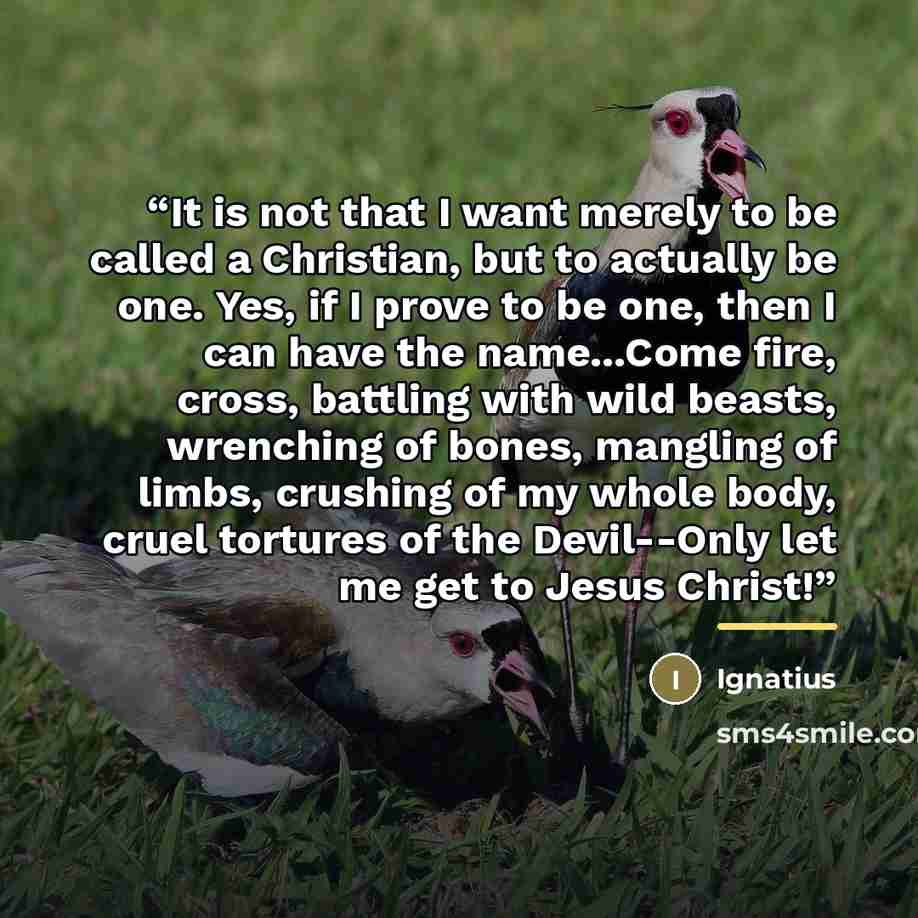 “It is not that I want merely to be called a Christian, but to actually be one. Yes, if I prove to be one, then I can have the name...Come fire, cross, battling with wild beasts, wrenching of bones, mangling of limbs, crushing of my whole body, cruel tortures of the Devil--Only let me get to Jesus…” quote by Ignatius