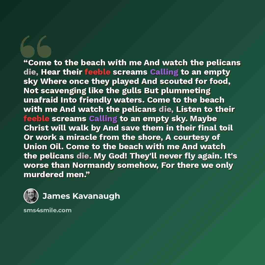 “Come to the beach with me And watch the pelicans die, Hear their feeble screams Calling to an empty sky Where once they played And scouted for food, Not scavenging like the gulls But plummeting unafraid Into friendly waters. Come to the beach with me And watch the pelicans die, Listen to their…” quote by James Kavanaugh
