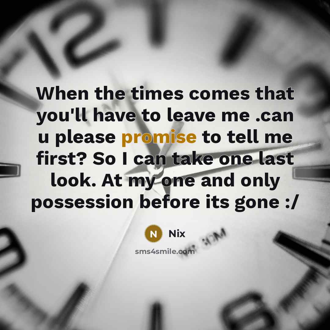 “When the times comes that you'll have to leave me .can u please promise to tell me first? So I can take one last look. At my one and only possession before its gone :/” quote by Nix