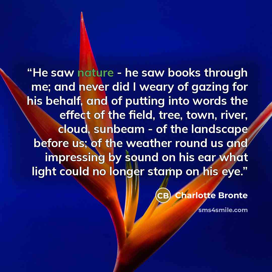 “He saw nature - he saw books through me; and never did I weary of gazing for his behalf, and of putting into words the effect of the field, tree, town, river, cloud, sunbeam - of the landscape before us; of the weather round us and impressing by sound on his ear what light could no longer stamp on…” quote by Charlotte Brontë