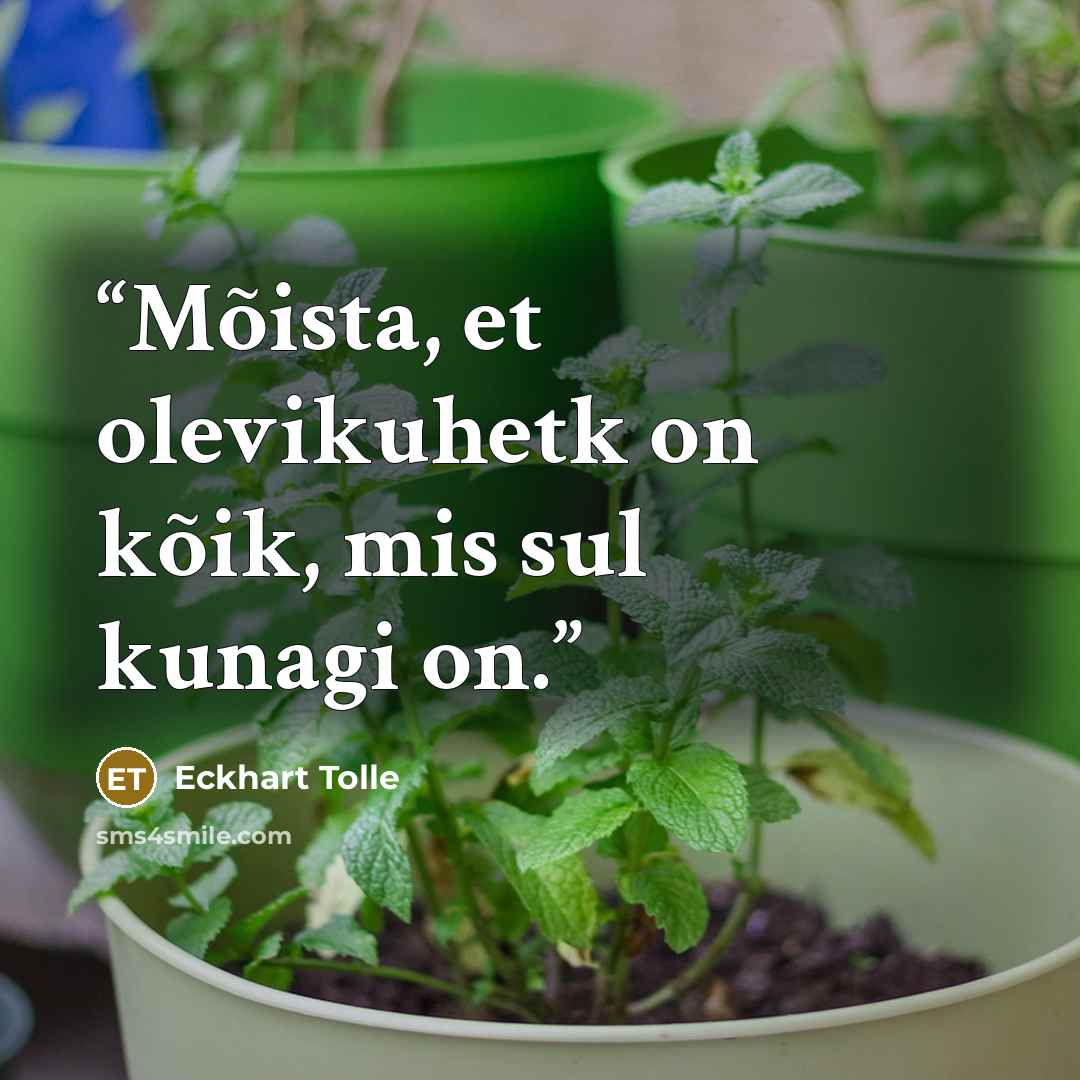 “Mõista, et olevikuhetk on kõik, mis sul kunagi on.” quote by Eckhart Tolle