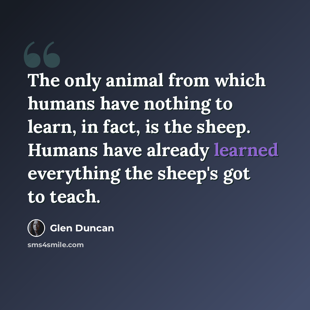 “The only animal from which humans have nothing to learn, in fact, is the sheep. Humans have already learned everything the sheep's got to teach.” quote by Glen Duncan