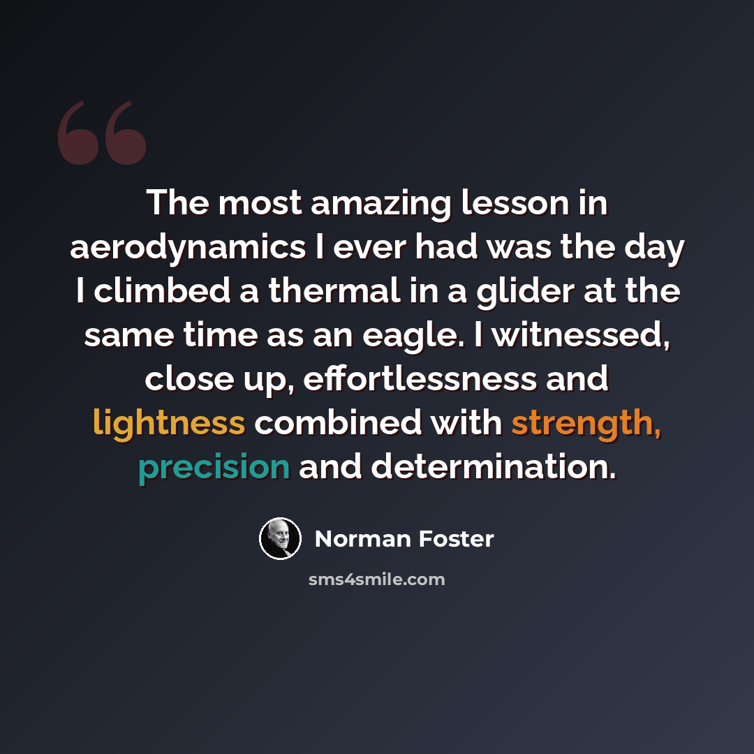 “The most amazing lesson in aerodynamics I ever had was the day I climbed a thermal in a glider at the same time as an eagle. I witnessed, close up, effortlessness and lightness combined with strength, precision and determination.” quote by Norman Foster