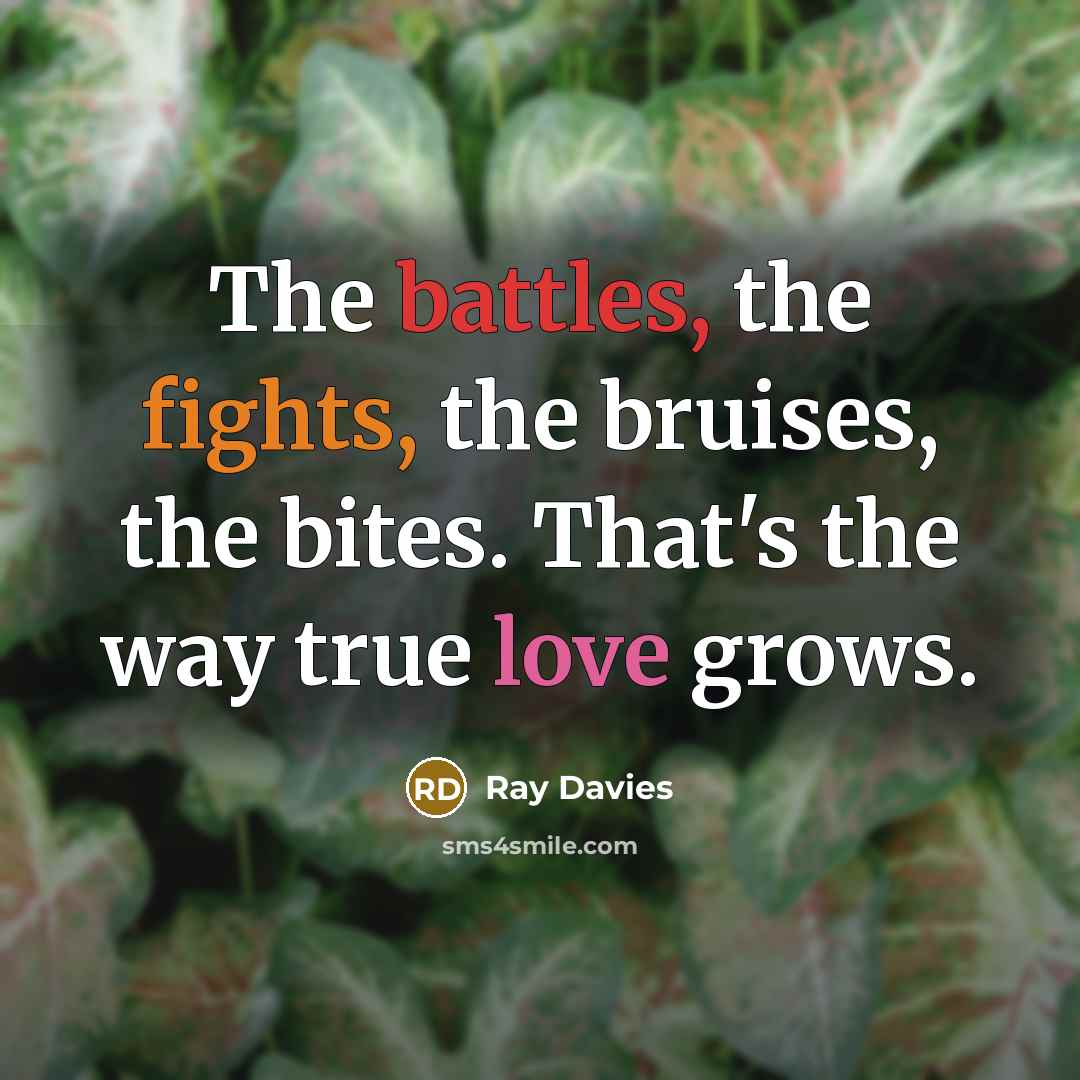 “The battles, the fights, the bruises, the bites. That's the way true love grows.” quote by Ray Davies