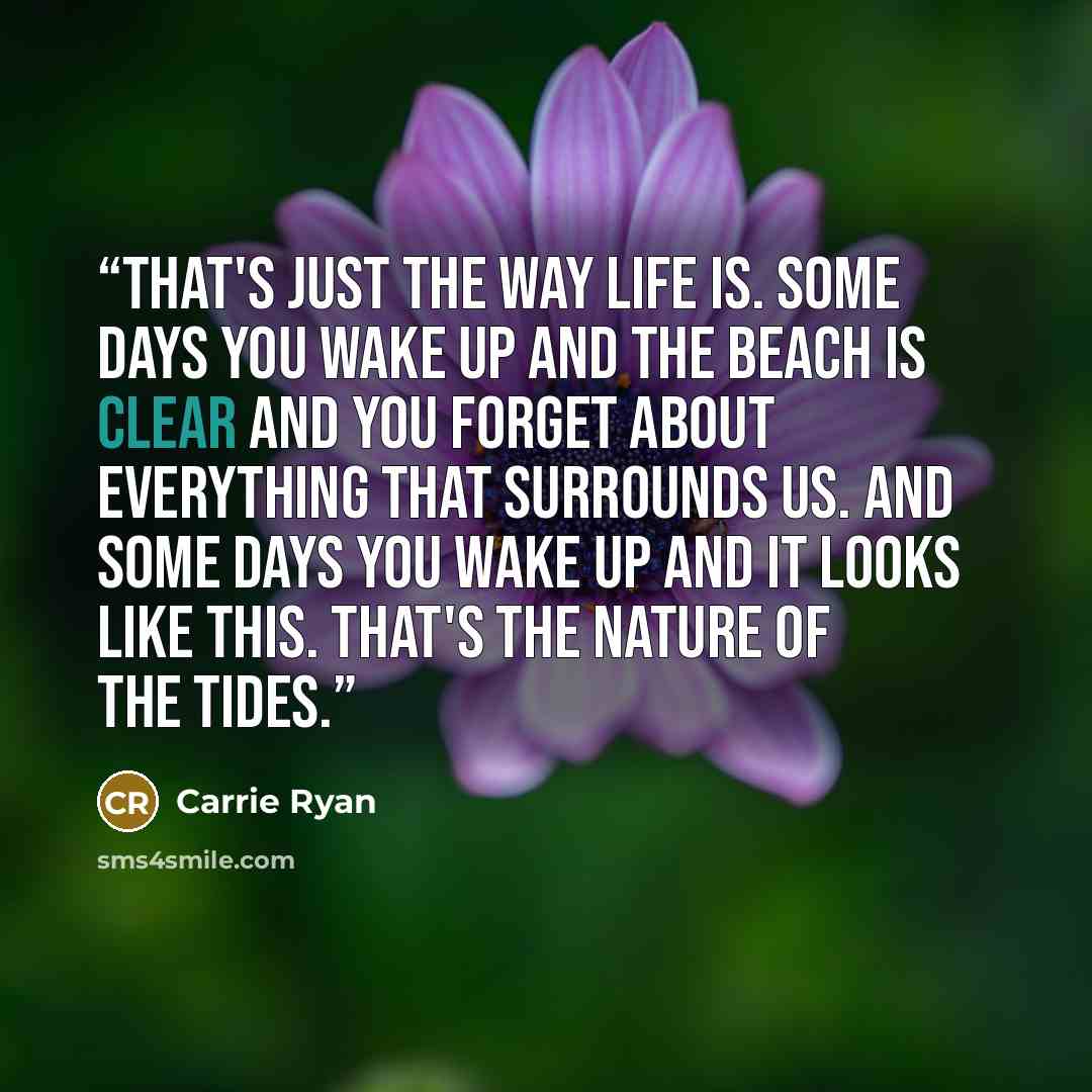 “That's just the way life is. Some days you wake up and the beach is clear and you forget about everything that surrounds us. And some days you wake up and it looks like this. That's the nature of the tides.” quote by Carrie Ryan