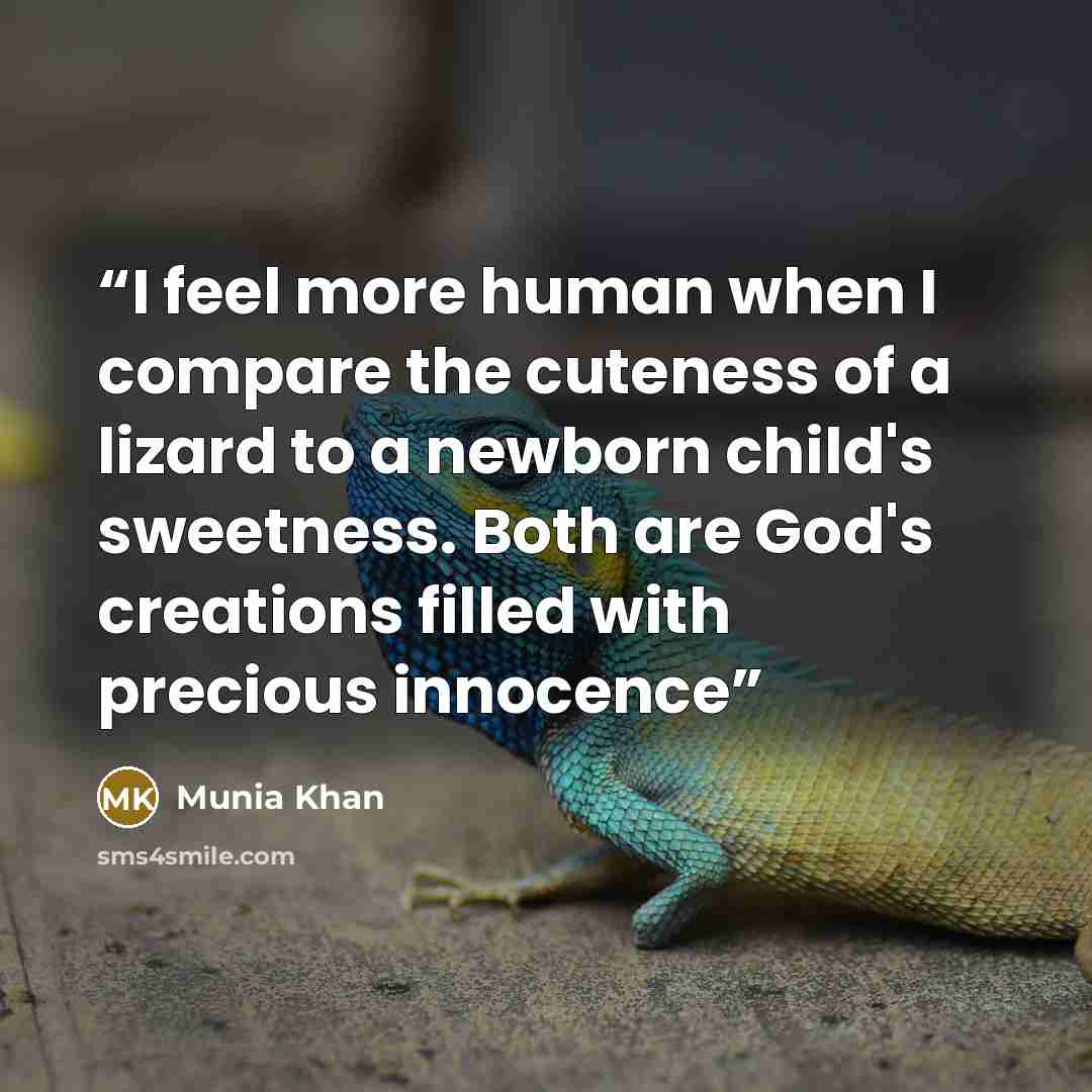 “I feel more human when I compare the cuteness of a lizard to a newborn child's sweetness. Both are God's creations filled with precious innocence” quote by Munia Khan