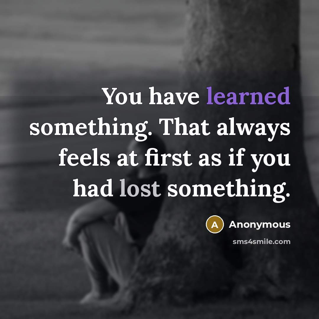 “You have learned something. That always feels at first as if you had lost something.” quote by Anonymous