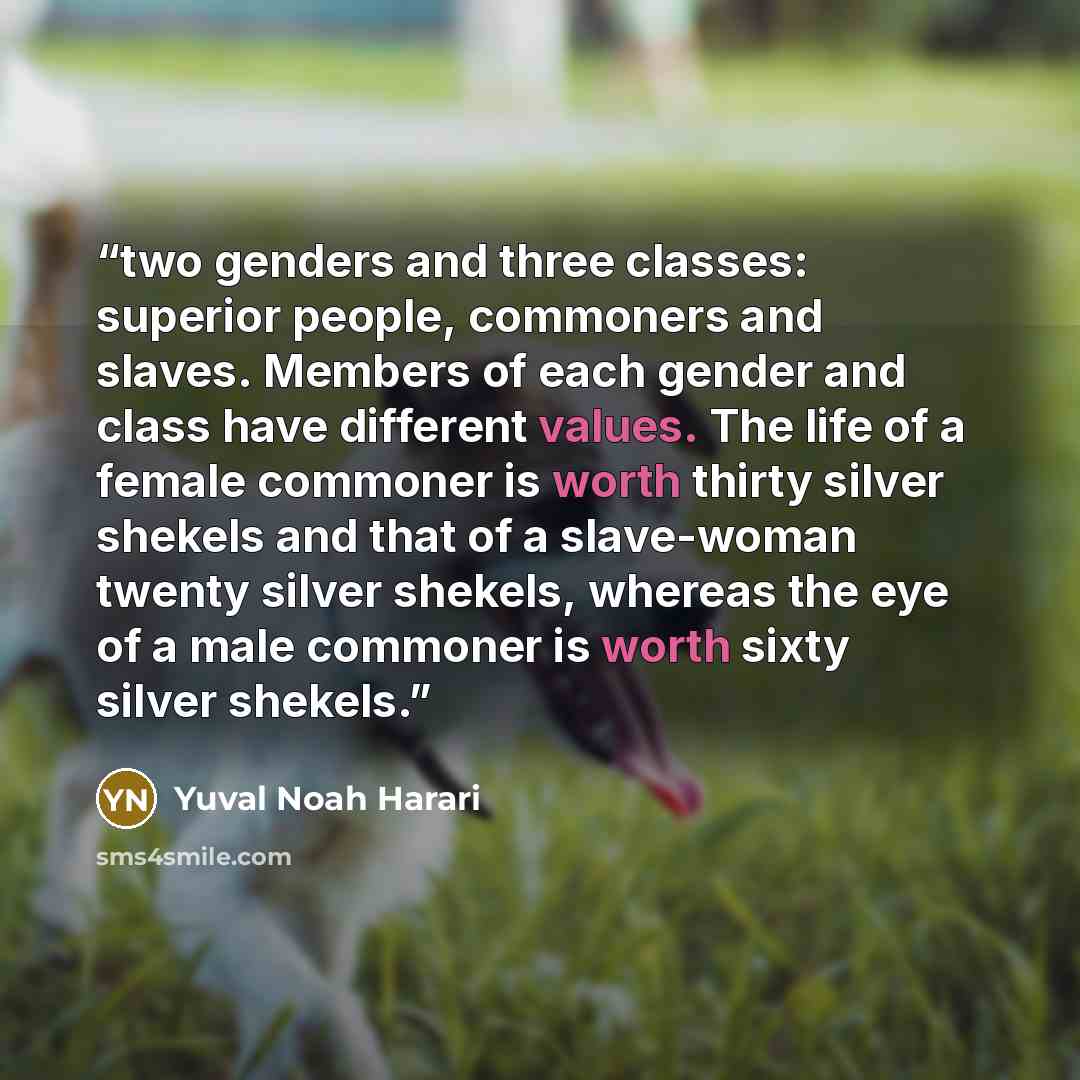 “two genders and three classes: superior people, commoners and slaves. Members of each gender and class have different values. The life of a female commoner is worth thirty silver shekels and that of a slave-woman twenty silver shekels, whereas the eye of a male commoner is worth sixty silver…” quote by Yuval Noah Harari