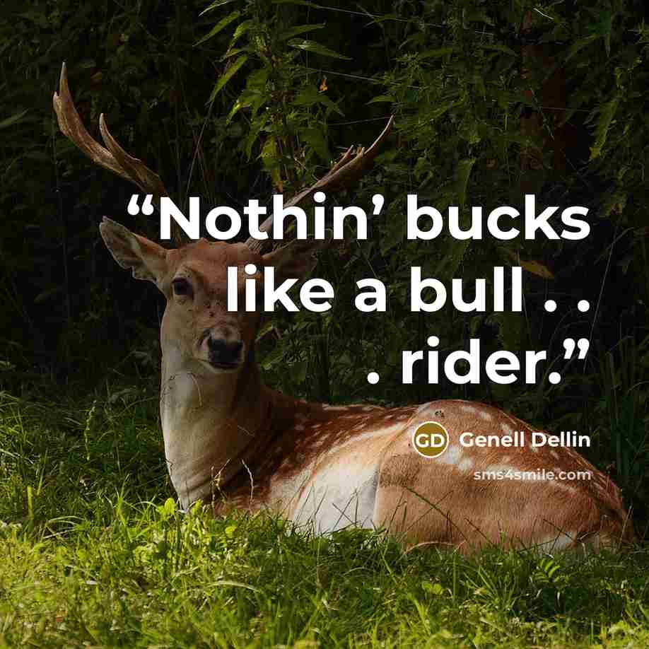 “Nothin’ bucks like a bull . . . rider.” quote by Genell Dellin