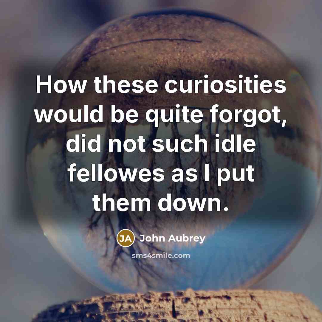 “How these curiosities would be quite forgot, did not such idle fellowes as I put them down.” quote by John Aubrey