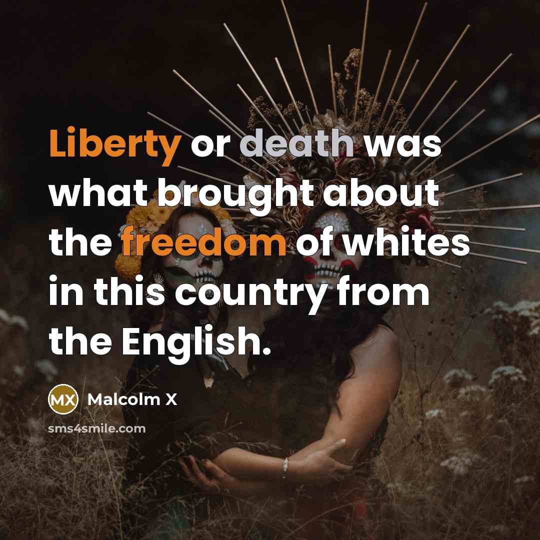 “Liberty or death was what brought about the freedom of whites in this country from the English.” quote by Malcolm X