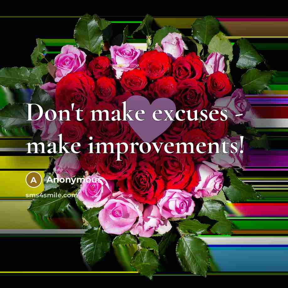 “Don't make excuses - make improvements!” quote by Anonymous