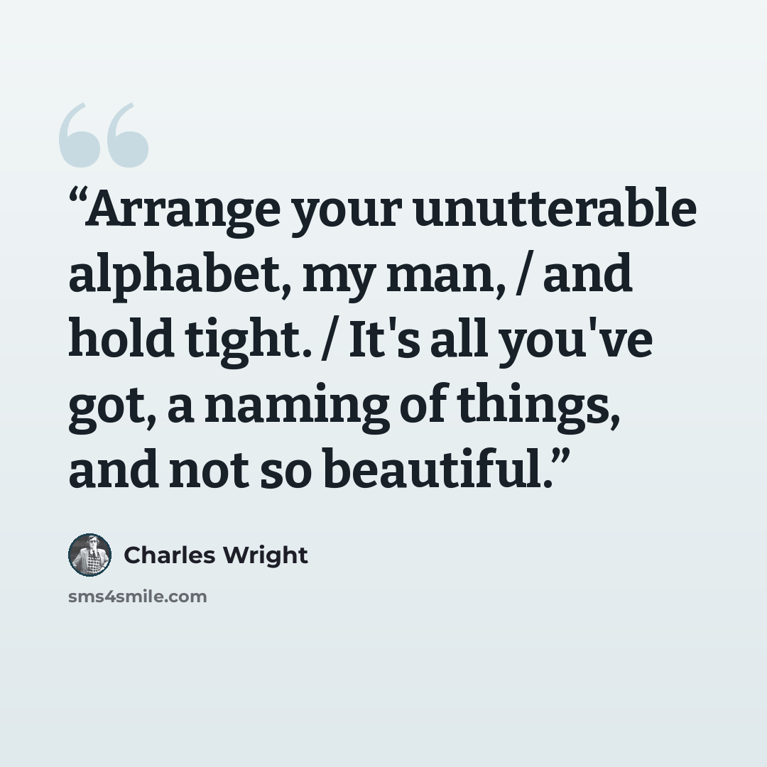 “Arrange your unutterable alphabet, my man, / and hold tight. / It's all you've got, a naming of things, and not so beautiful.” quote by Charles Wright