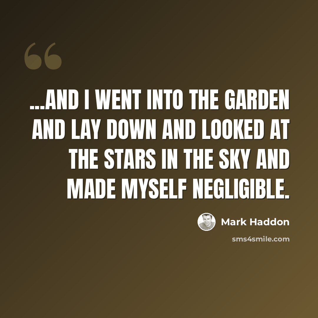 “...and I went into the garden and lay down and looked at the stars in the sky and made myself negligible.” quote by Mark Haddon