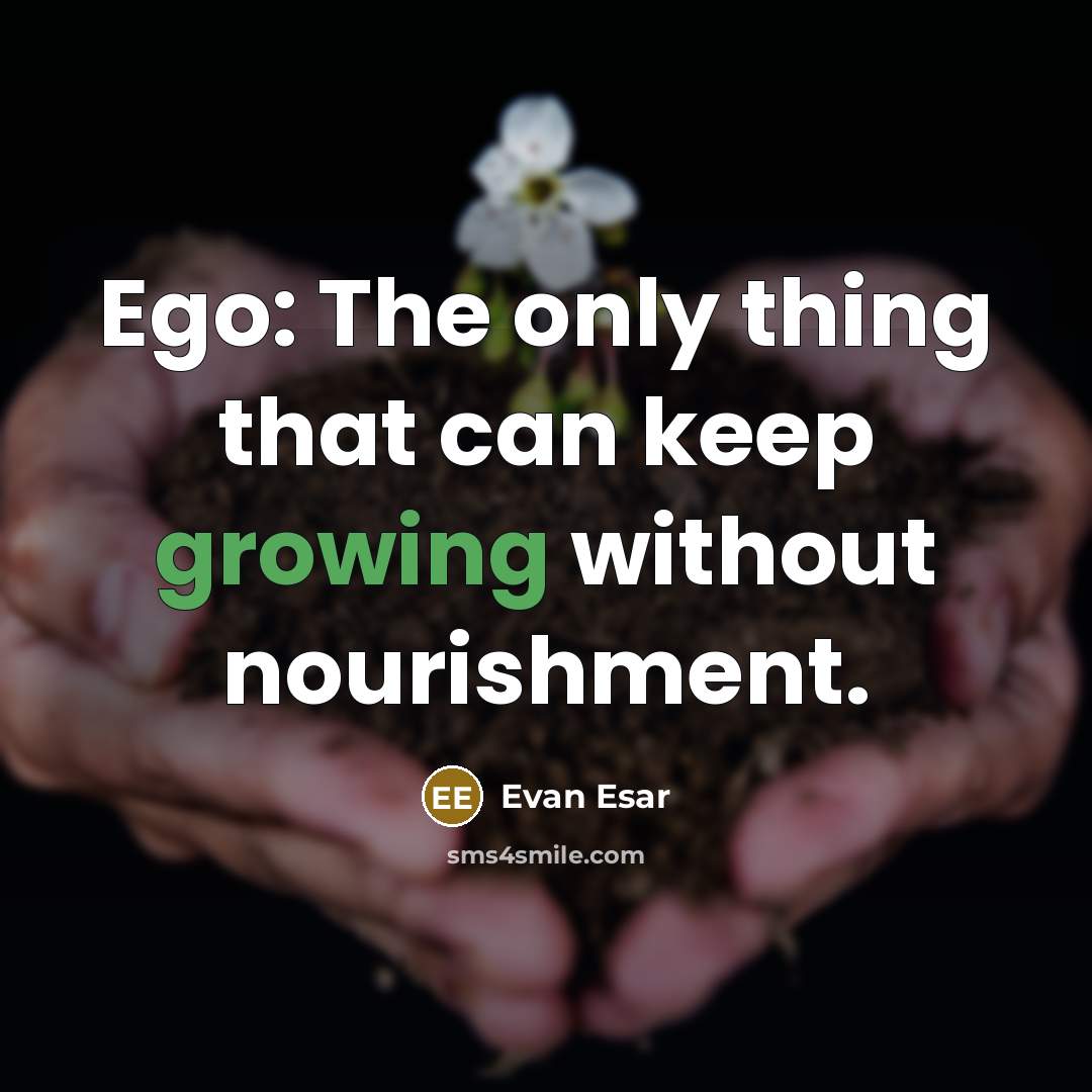“Ego: The only thing that can keep growing without nourishment.” quote by Evan Esar