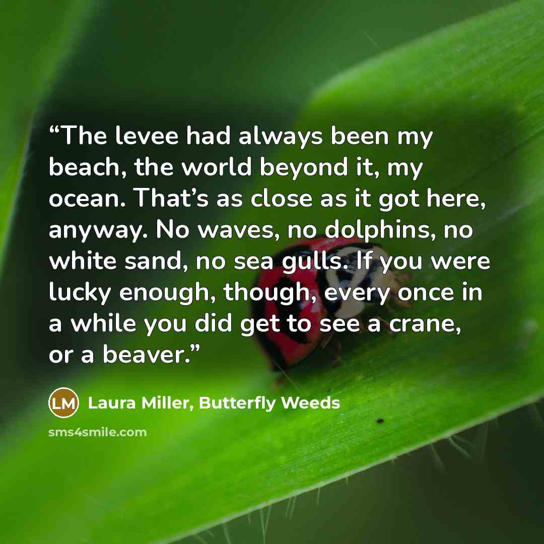 “The levee had always been my beach, the world beyond it, my ocean. That’s as close as it got here, anyway. No waves, no dolphins, no white sand, no sea gulls. If you were lucky enough, though, every once in a while you did get to see a crane, or a beaver.” quote by Laura Miller, Butterfly Weeds
