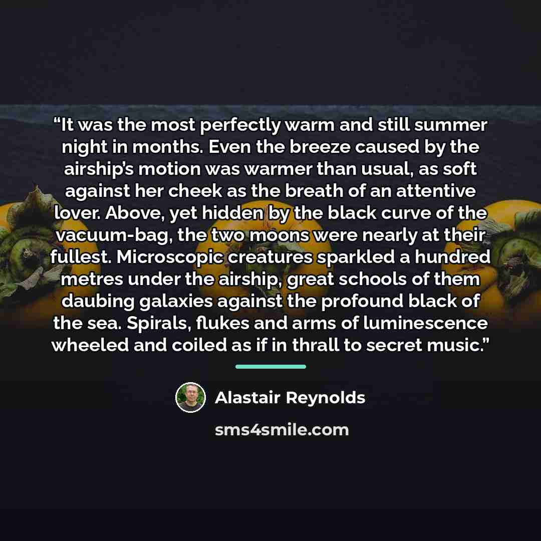 “It was the most perfectly warm and still summer night in months. Even the breeze caused by the airship’s motion was warmer than usual, as soft against her cheek as the breath of an attentive lover. Above, yet hidden by the black curve of the vacuum-bag, the two moons were nearly at their fullest…” quote by Alastair Reynolds