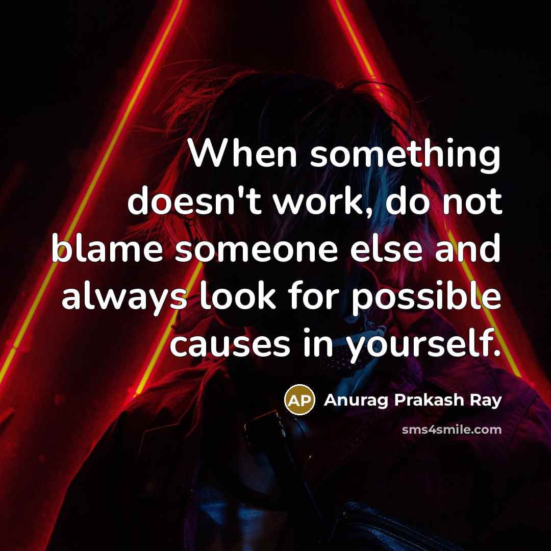 “When something doesn't work, do not blame someone else and always look for possible causes in yourself.” quote by Anurag Prakash Ray