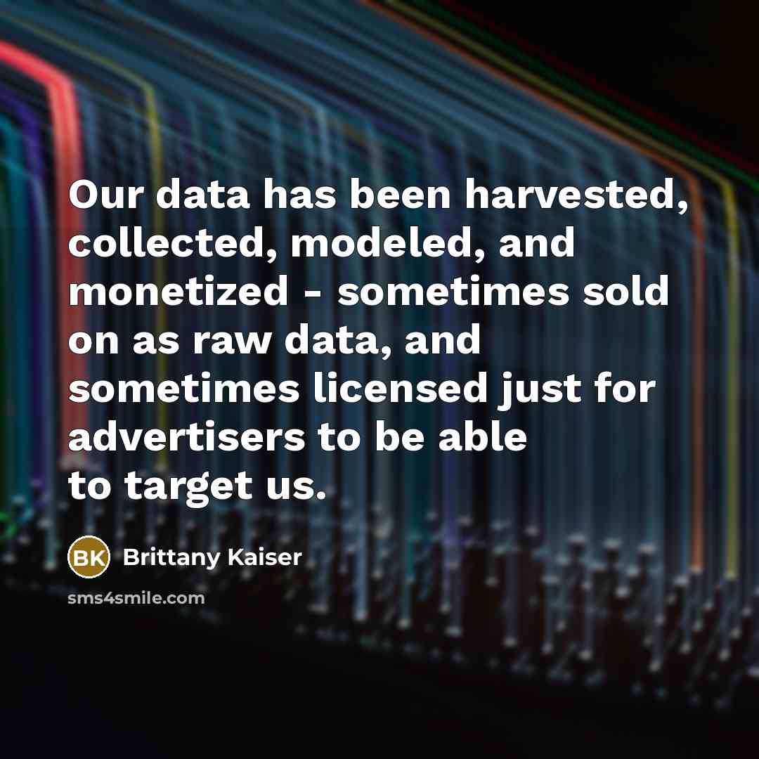 “Our data has been harvested, collected, modeled, and monetized - sometimes sold on as raw data, and sometimes licensed just for advertisers to be able to target us.” quote by Brittany Kaiser