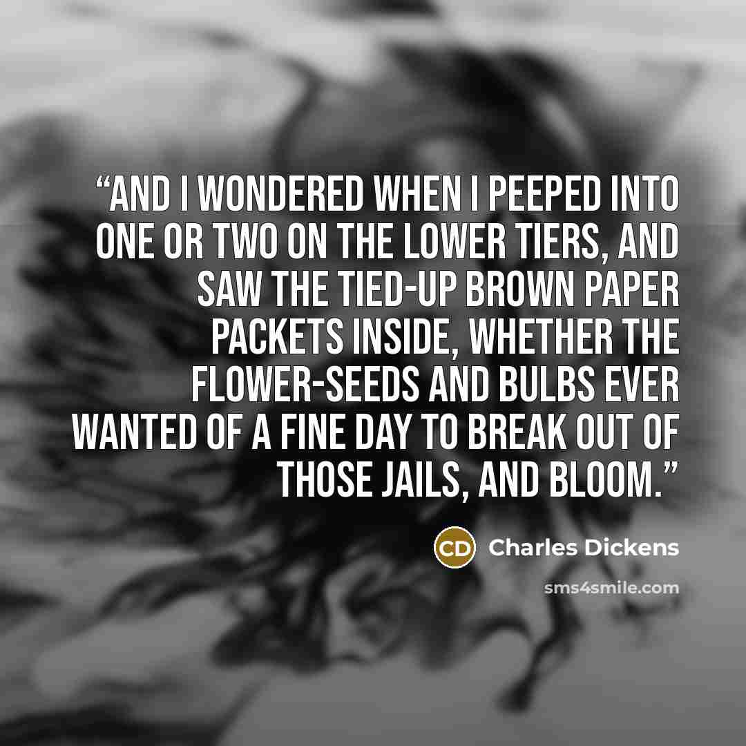 “And I wondered when I peeped into one or two on the lower tiers, and saw the tied-up brown paper packets inside, whether the flower-seeds and bulbs ever wanted of a fine day to break out of those jails, and bloom.” quote by Charles Dickens