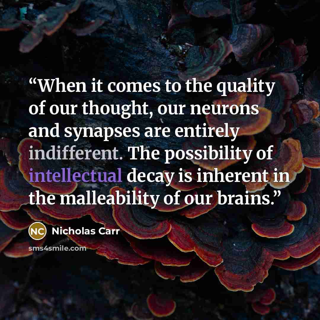 “When it comes to the quality of our thought, our neurons and synapses are entirely indifferent. The possibility of intellectual decay is inherent in the malleability of our brains.” quote by Nicholas Carr