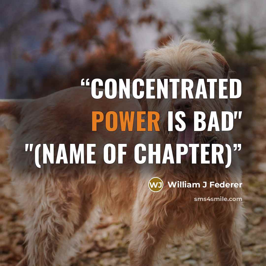 “Concentrated power is bad" "(name of chapter)” quote by William J Federer