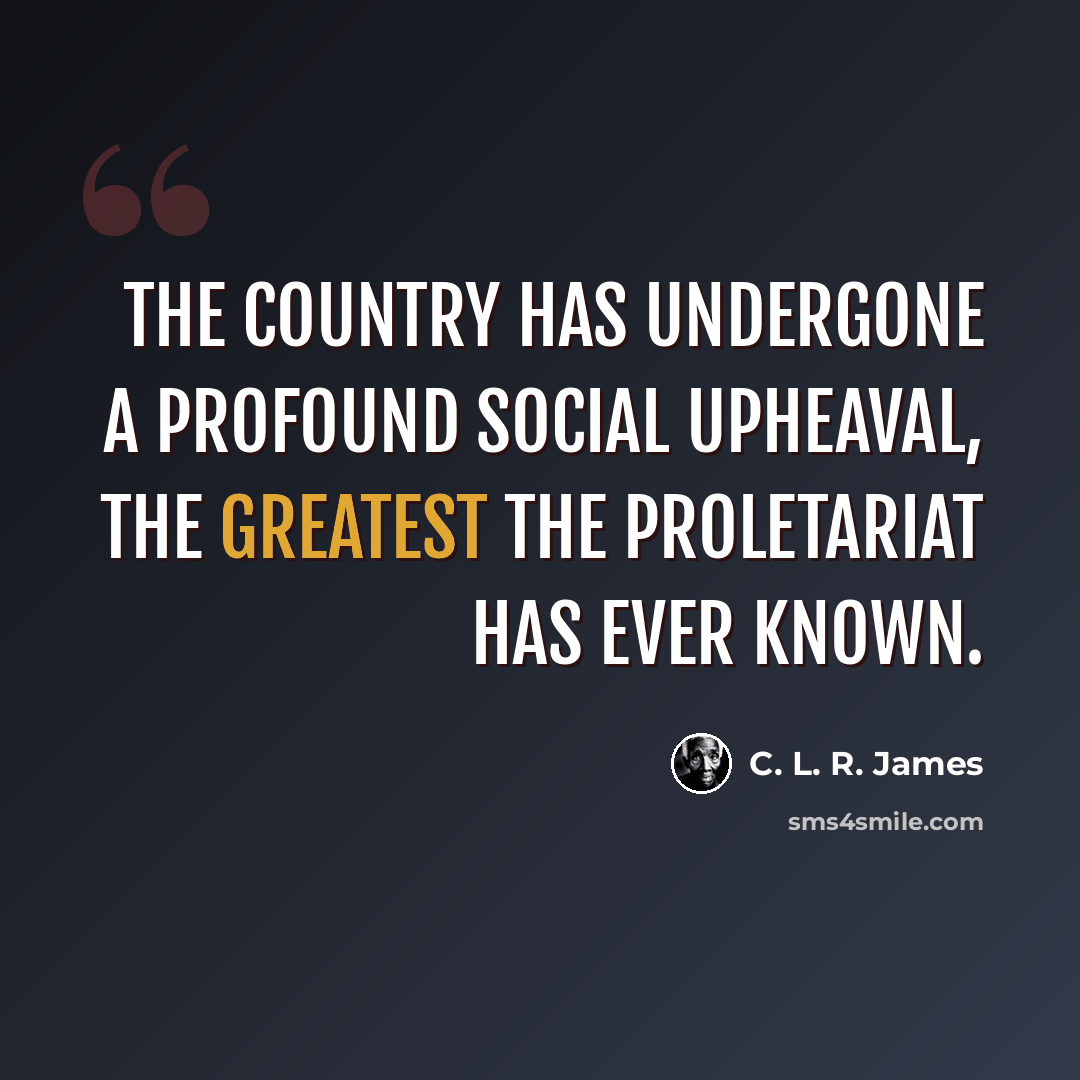 “The country has undergone a profound social upheaval, the greatest the proletariat has ever known.” quote by C. L. R. James