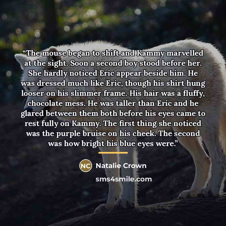“The mouse began to shift and Kammy marvelled at the sight. Soon a second boy stood before her. She hardly noticed Eric appear beside him. He was dressed much like Eric, though his shirt hung looser on his slimmer frame. His hair was a fluffy, chocolate mess. He was taller than Eric and he glared…” quote by Natalie Crown