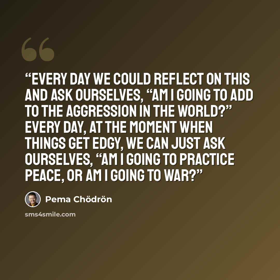 “Every day we could reflect on this and ask ourselves, “Am I going to add to the aggression in the world?” Every day, at the moment when things get edgy, we can just ask ourselves, “Am I going to practice peace, or am I going to war?” quote by Pema Chödrön