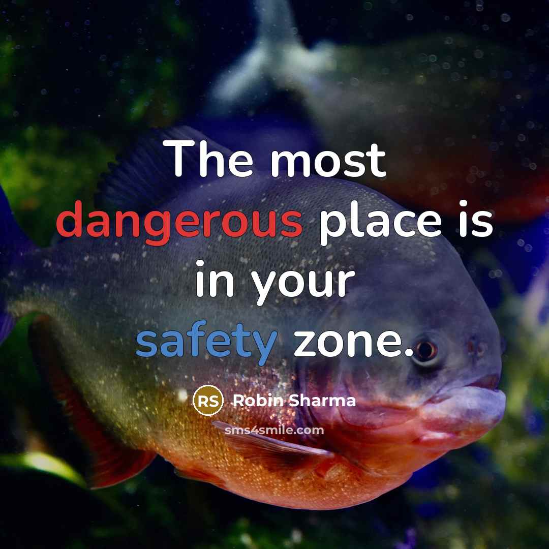 “The most dangerous place is in your safety zone.” quote by Robin Sharma
