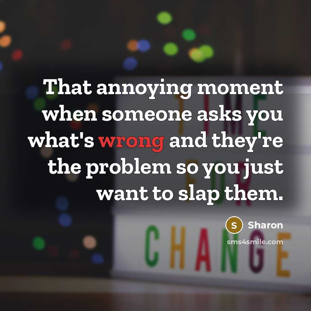 “That annoying moment when someone asks you what's wrong and they're the problem so you just want to slap them.” quote by Sharon