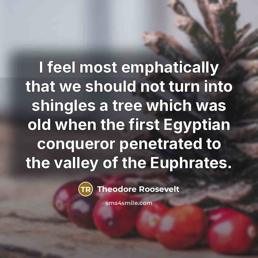 “I feel most emphatically that we should not turn into shingles a tree which was old when the first Egyptian conqueror penetrated to the valley of the Euphrates.” quote by Theodore Roosevelt
