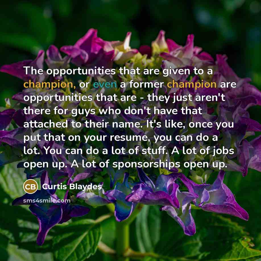 “The opportunities that are given to a champion, or even a former champion are opportunities that are - they just aren't there for guys who don't have that attached to their name. It's like, once you put that on your resume, you can do a lot. You can do a lot of stuff. A lot of jobs open up. A lot…” quote by Curtis Blaydes