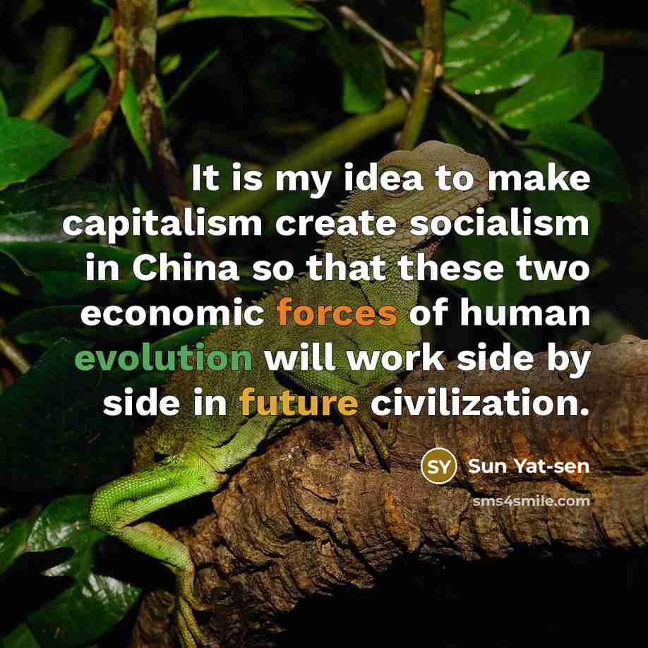 “It is my idea to make capitalism create socialism in China so that these two economic forces of human evolution will work side by side in future civilization.” quote by Sun Yat-sen